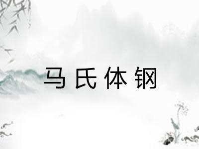 马氏体钢