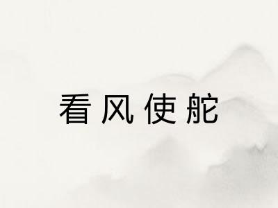 看风使舵