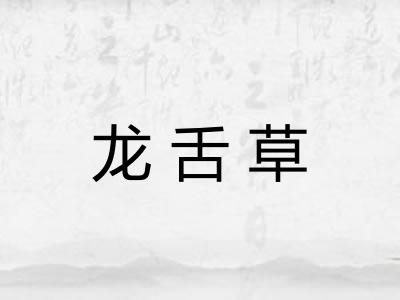 龙舌草