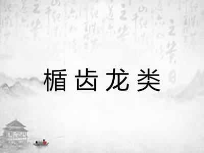 楯齿龙类