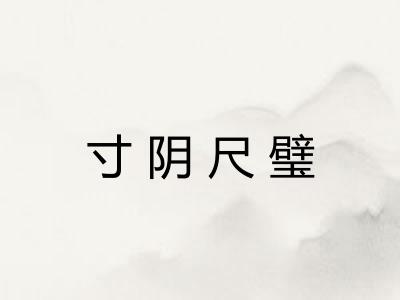 寸阴尺璧