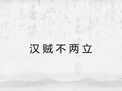 汉贼不两立