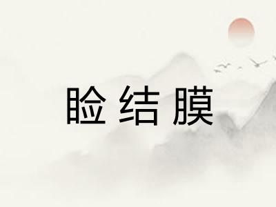 睑结膜