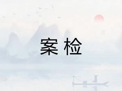 案检