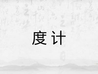 度计