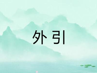 外引