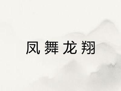 凤舞龙翔