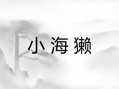 小海獭