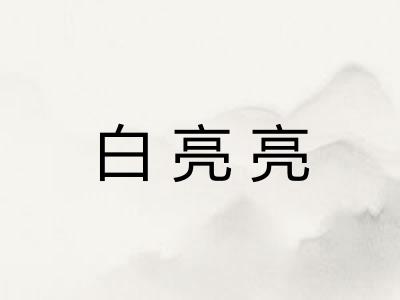 白亮亮