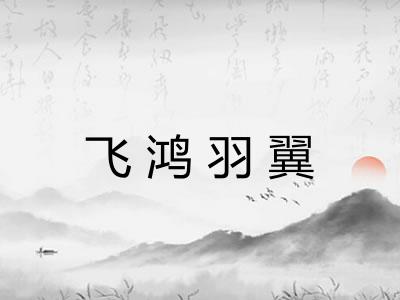 飞鸿羽翼