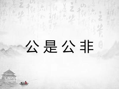公是公非