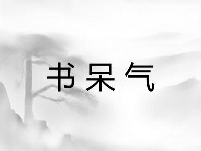 书呆气