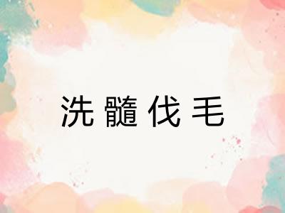 洗髓伐毛
