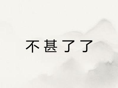 不甚了了