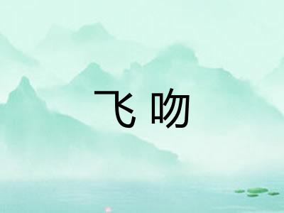 飞吻