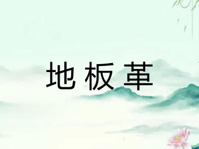 地板革