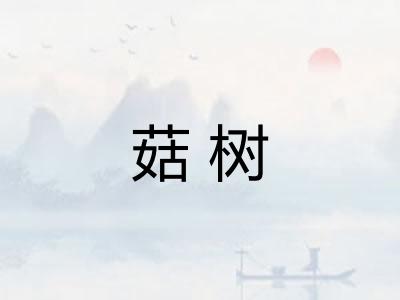 菇树