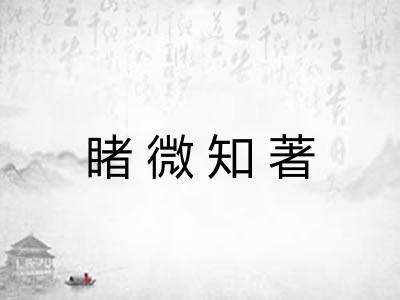 睹微知著