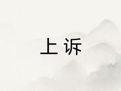 上诉
