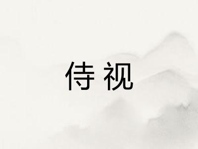侍视