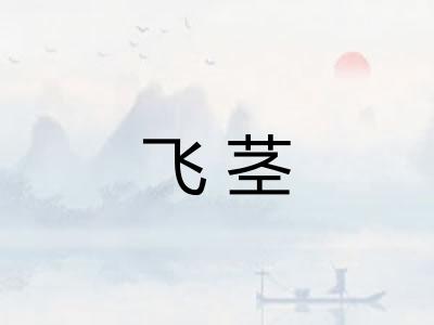 飞茎