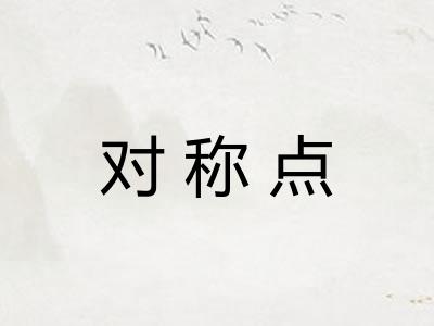 对称点