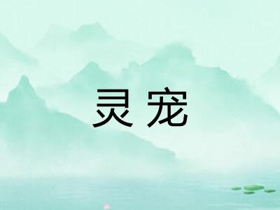 灵宠