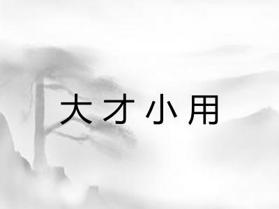 大才小用