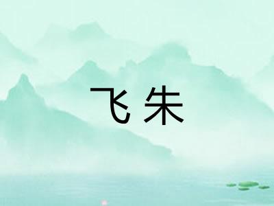 飞朱