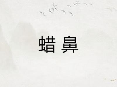 蜡鼻