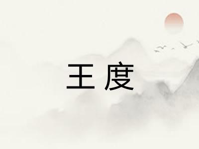 王度