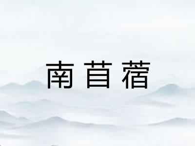 南苜蓿