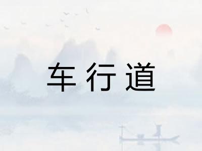 车行道