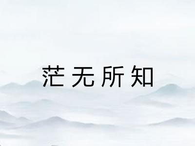 茫无所知