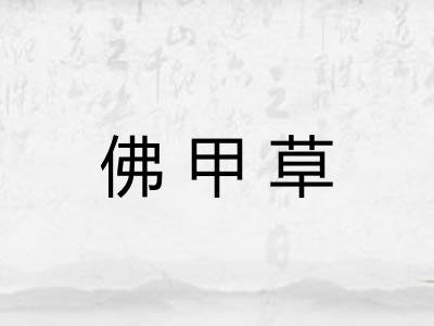 佛甲草