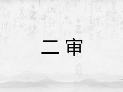 二审