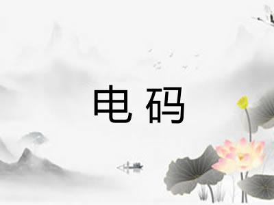 电码