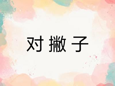 对撇子