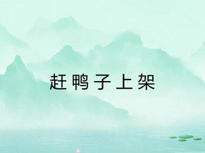 赶鸭子上架