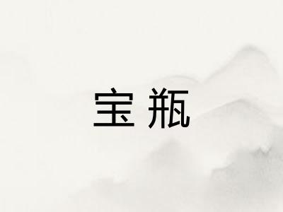 宝瓶