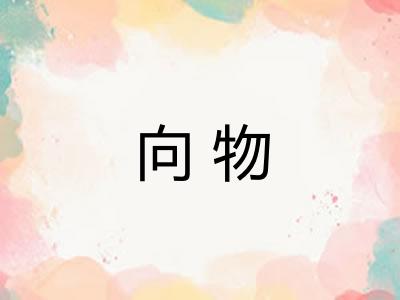 向物