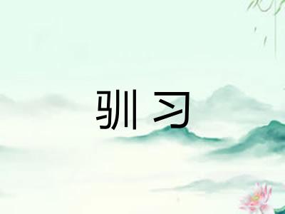 驯习