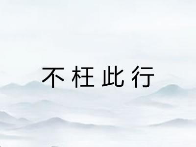 不枉此行
