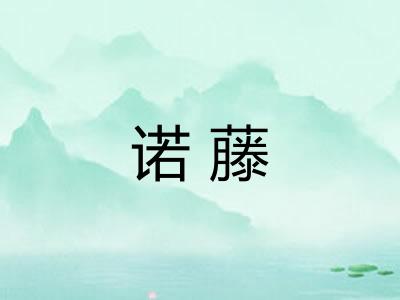 诺藤