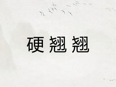 硬翘翘