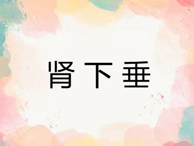 肾下垂