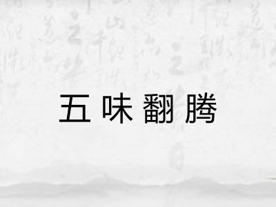五味翻腾