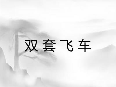 双套飞车