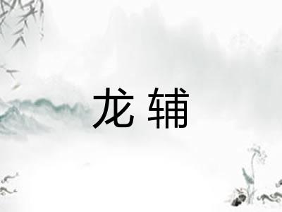 龙辅