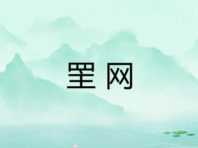 罜网